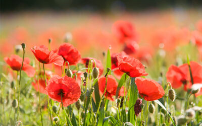Commemoration